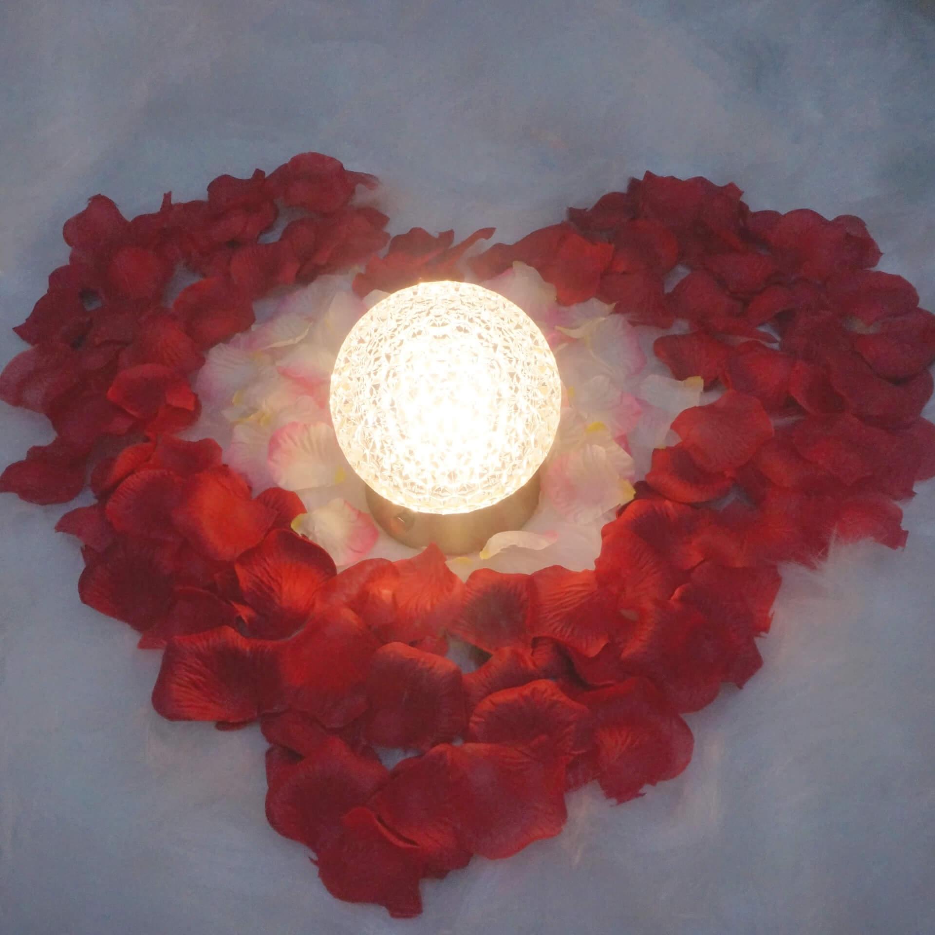 Cordless Rechargeable Lamp, Shining Star-Amingulry, decorate with rose like a heart.